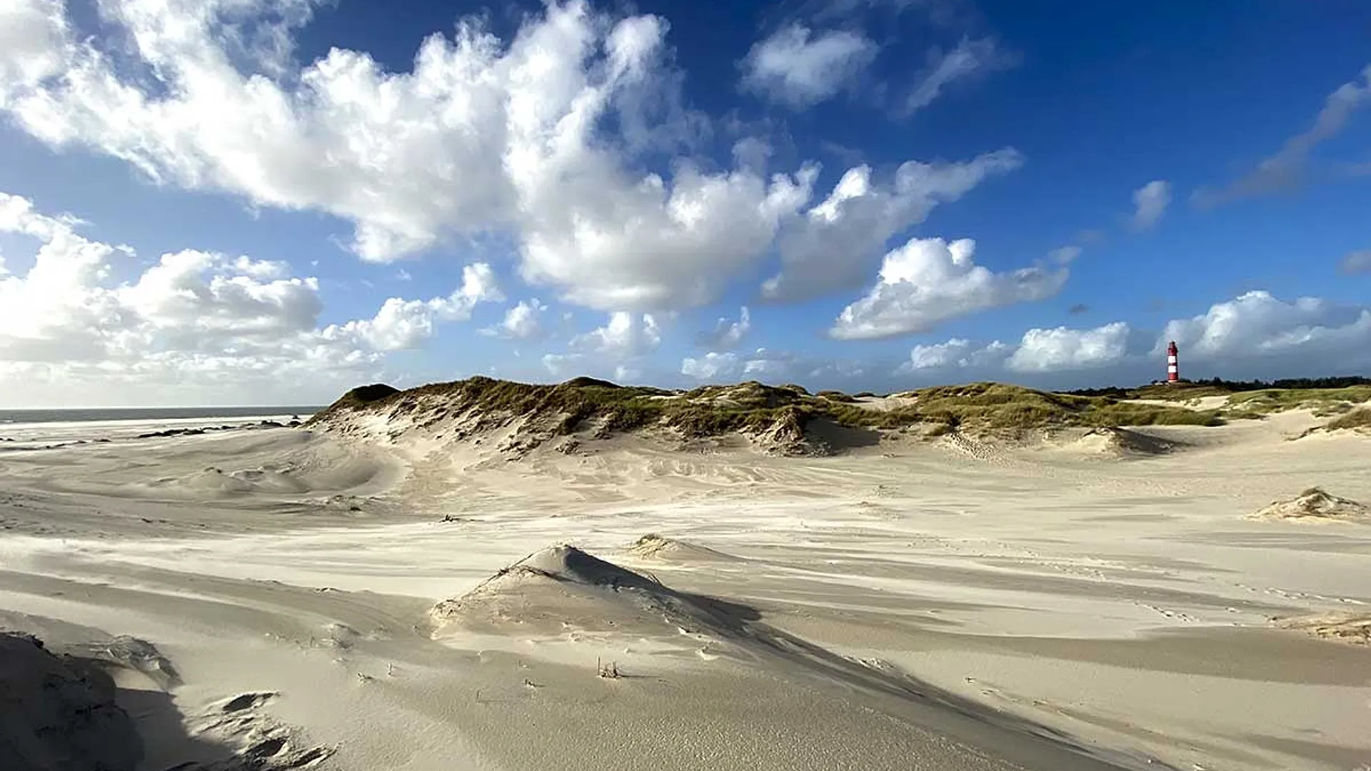 Surga Pasir Tanpa Batas: Mengapa St. Peter-Ording Jadi Pantai Terbesar dan Terpopuler di Eropa?